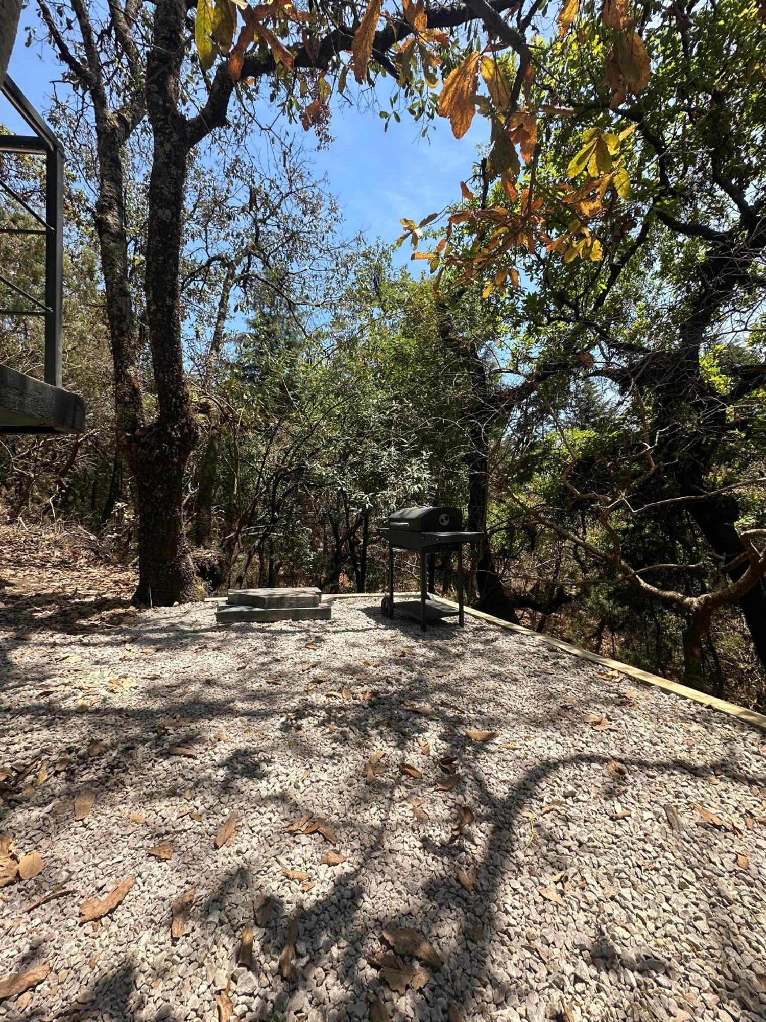 Grasshopper Cabanas Cuautla  ภายนอก รูปภาพ